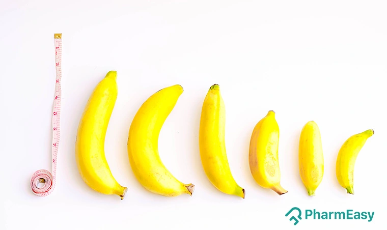 Can You Really Make the Penis Longer? Myths, Facts, and Safe Options 1 Can You Really Make the Penis Longer